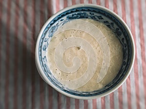 Homemade Sourdough Bread Starter photo